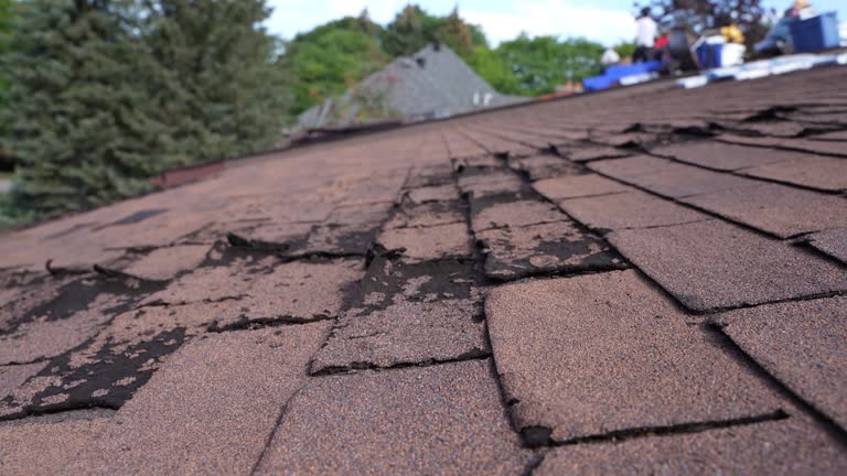 Best Solar Panel Roofing Installation  in Westmoreland, TN