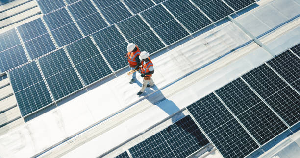 Best Roof Maintenance and Cleaning  in Westmoreland, TN
