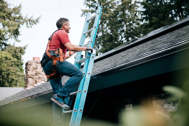 Best Sheet Metal Roofing  in Westmoreland, TN