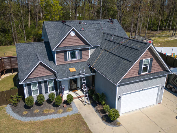 Best Roof Moss and Algae Removal  in Westmoreland, TN